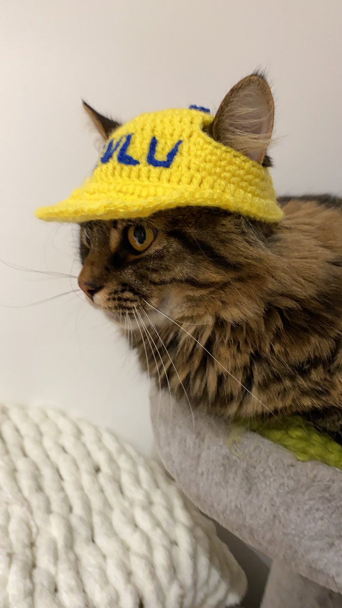 cutecatrock's tweet photo. Crochet cat hat @cutecatrock https://t.co/etsV5cFZ4y