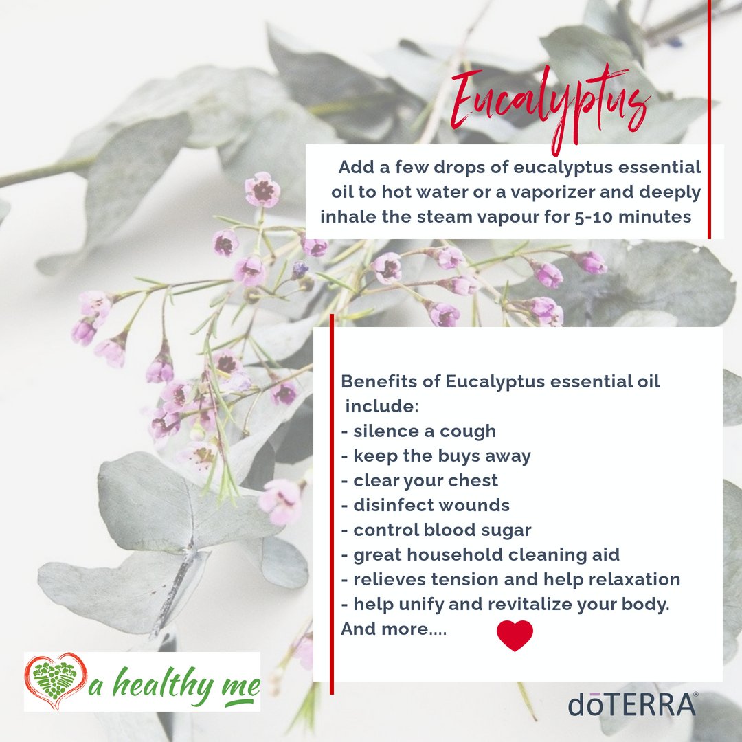 Happy Wednesday. Wellness tip of the day! 

Gotta love Eucalyptus! Such an awesome essential oil. 

#ahealthyme #essentialoil #eucalyptus #selfcare #health #wellness #naturalremedies
