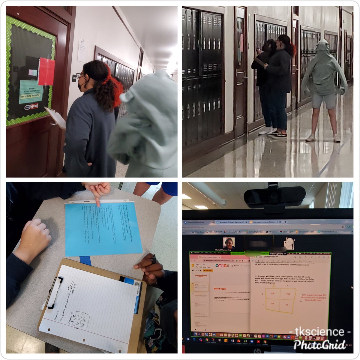 teach_me24's tweet image. Some of my @HillsboroughIB in person and online freshmen working on complex inheritance stations in small groups. #tkscience #tkbio