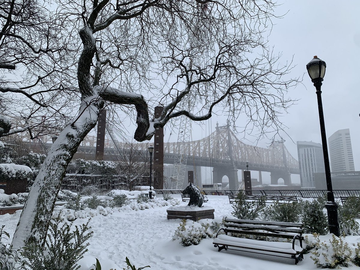 Annalise Schweickart tweet media