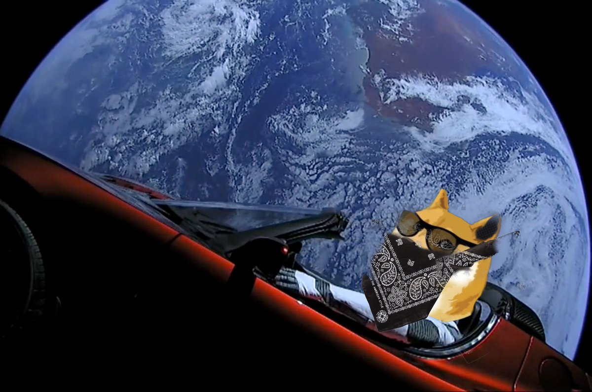 mrkopr's tweet photo. I’m new to this and not sure how to start a movement but I think it would be cool if we all put black Bandanas on our PP to show solidarity for the launch 🚀 @elonmusk @ISofMisfitDoges @ISofMisfitDoge #doge #AHNF  @Dogecoinupdate RT https://t.co/nI6iyXye4q