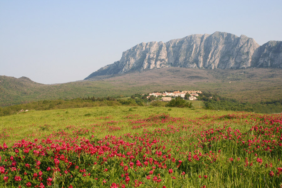 SileneCoop's tweet photo. E ancora una! Questo sabato, a passeggio per gli ombrosi sentieri di Ficuzza! Ecco il programma: https://t.co/L6lkezd3Tq #silenecoop #natura #siciliaselvaggia #boschidisicilia #trekkingsicilia https://t.co/FUi0gzWcCT