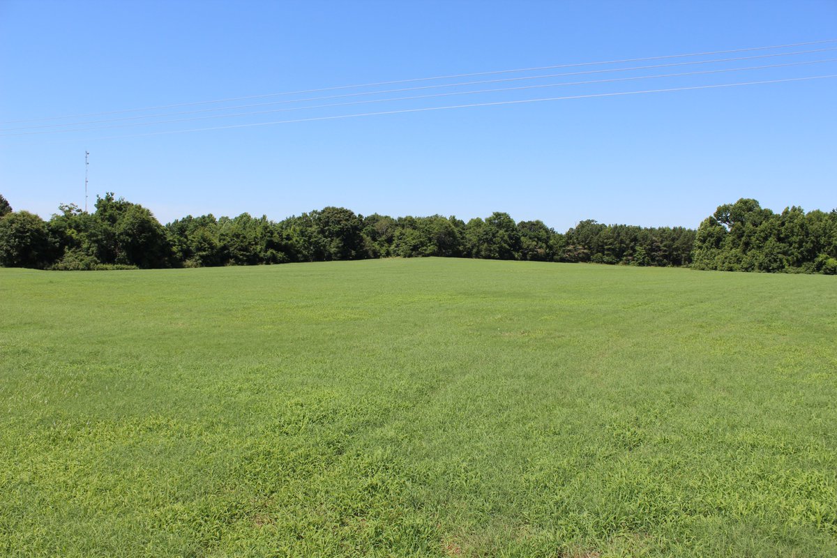 TrueSouthProp's tweet image. Beautiful Open Pastureland Available in Macon County!
truesouth.com/listings/beaut…