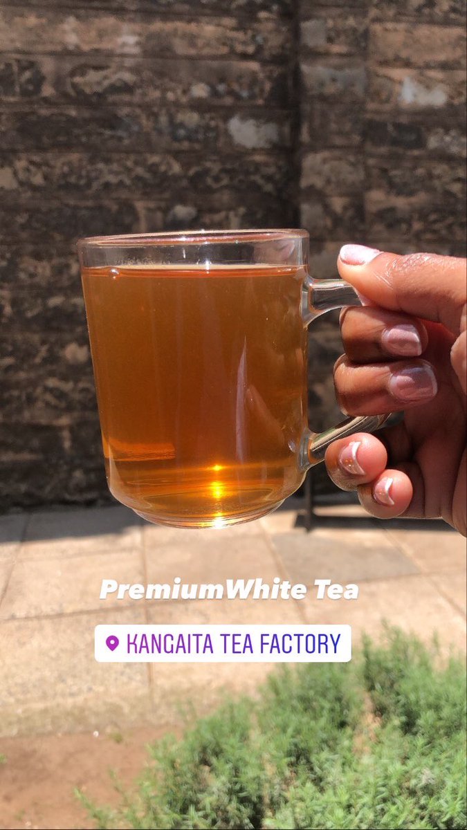 NoshCC's tweet photo. @KTDATea #KangaitaTeaFactory! https://t.co/mvLO2WqjCe