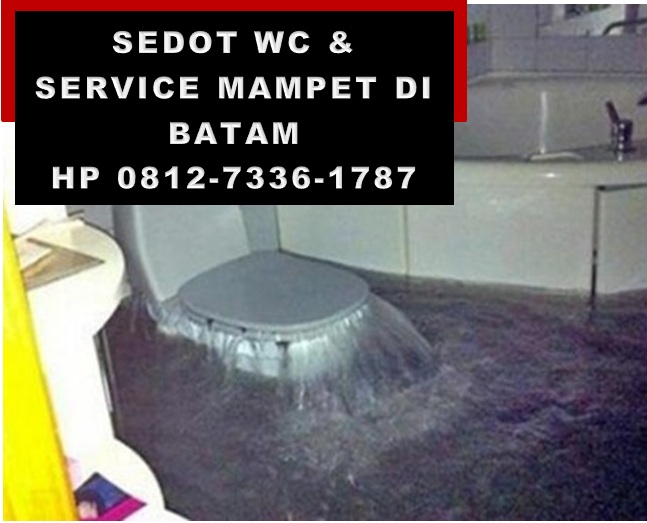 0812-7336-1787 Pakar Sedot WC Batam &amp; Servis Mampet Batam

asialam.blogspot.com

#Sagulung #Punggur #Nongsa #BatuAji #Bengkong #Barelang #Batam #SedotWCBatam #SedotTinjaBatam #ServisMampetBatam #SedotMampetBatam #AntiMampetBatam #TinjaBatam #WCBatam #PromoPuncak33 #TimnasDay