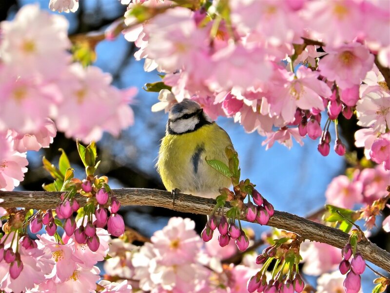 LanaToro21's tweet image. #PositiveVibes #AmazingSpring 

💝🐦🌞🐦💝🐦🌞🐦💝🐦🌞🐦💝

A faithful Heart will always find a Worthy Reward...

💝🐦🌞🐦💝🐦🌞🐦💝🐦🌞🐦💝

CU on Friday😇