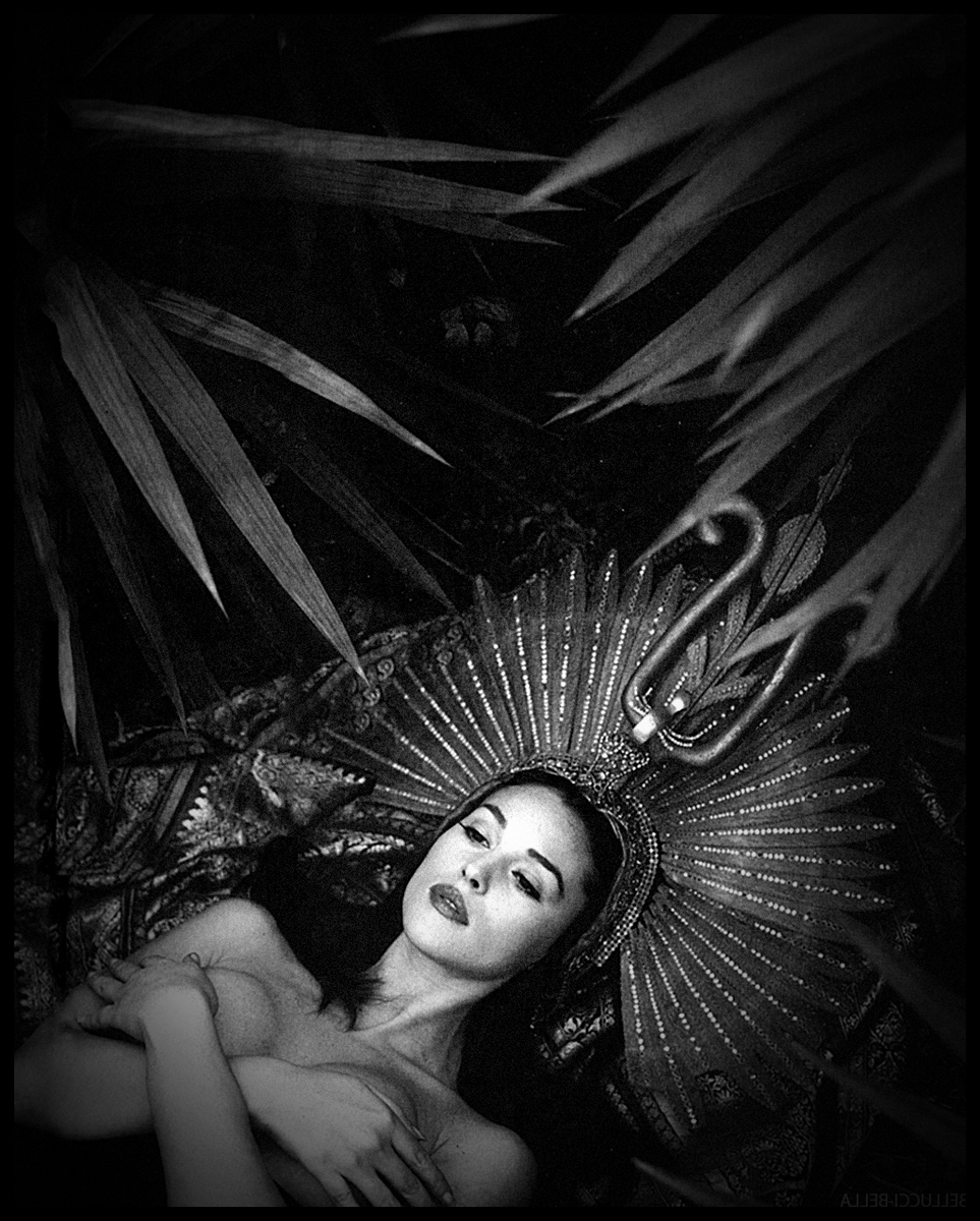 FabioMatteuzzi's tweet photo. #MonicaBellucci #ModaMagazine -1994 #90smodels @JosCarlosGmez7 @alexcooper81 @Papryka5 @sluts_guts @ropatrokola @RuizVelvet92 @wonderful_g @Intuitive_PS @Schlocktopus_1 @Orange_Cinema @karenshane63 @candice_doll @Panthera156 @sim010101 @RaulDuprat https://t.co/VdjZ5Ym67h
