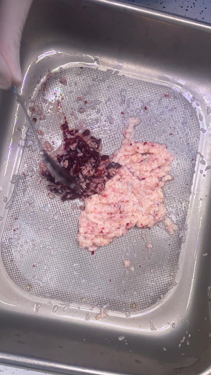 Saeed Bin Hamri tweet media