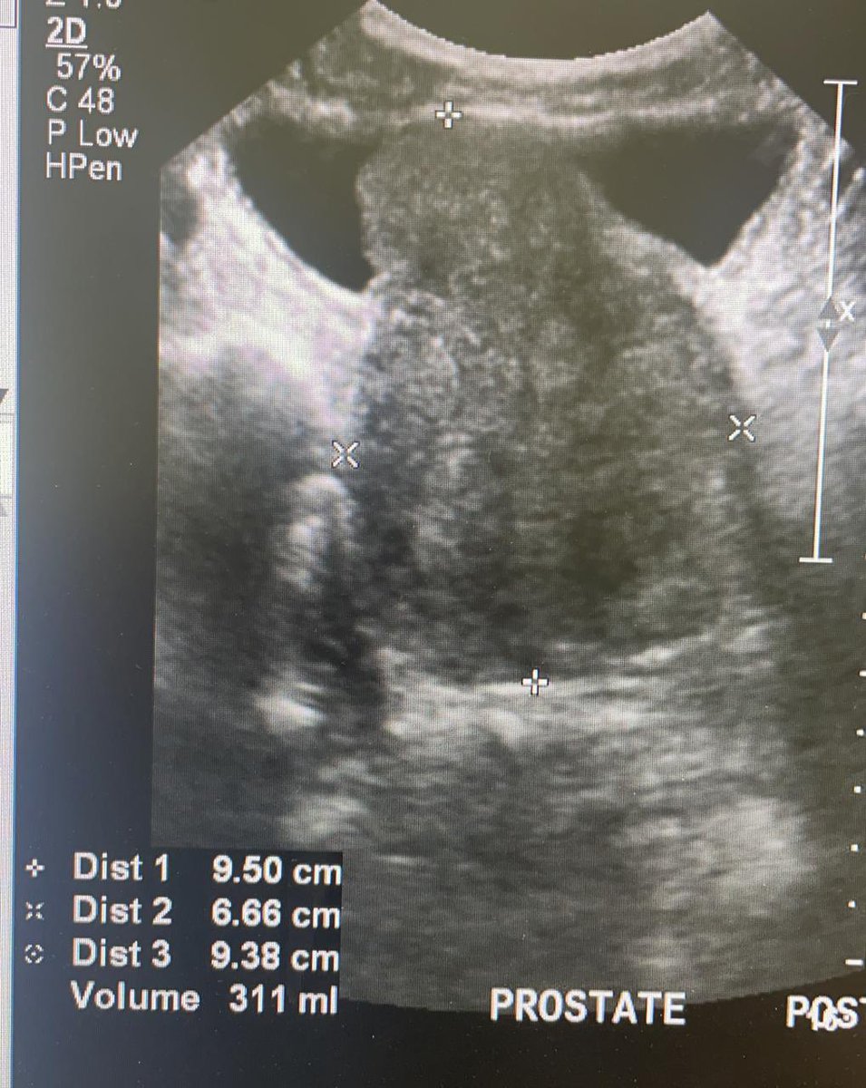 Saeed Bin Hamri tweet media