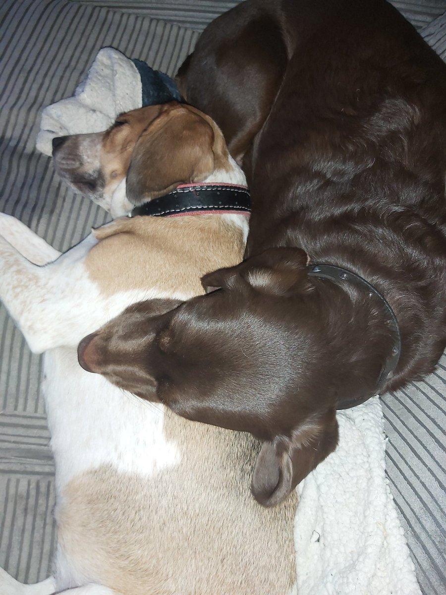 Torranbrown's tweet image. Good morning guys  stay safe