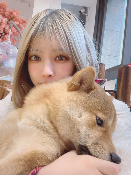 コスプレイヤー千葉チュチュのTwitter画像56