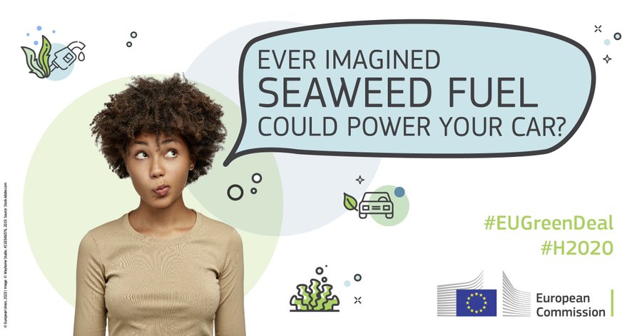 cinea_eu's tweet photo. There is an undisputed &amp; urgent need for a sustainable &amp; smart transport system in 🇪🇺 and beyond 🌍

@MacroFuels produces biofuels made from a cultivated seaweed 🌱designed for different means of transport 🚗✈️🚍

Check it out👉 https://t.co/H6bMLsbxv9

#EUGreenDeal #H2020Energy https://t.co/fqPQ8VIuqu