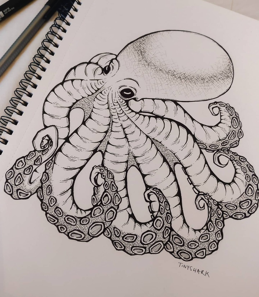 I love how this turned out 🐙

Octopus by me

#Inkdrawing #ink_bw #penandinkart #octopus instagr.am/p/CL9BOLvnkIm/