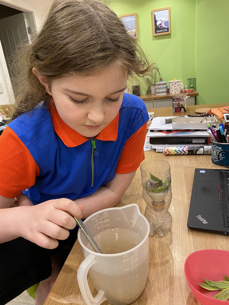 lford_louise's tweet photo. Thanks for a fun #STEM evening with @CatalystSDC organised by #frankbyguides @GGWirral #girlguides #science #experimentsathome Mia (and mum) enjoyed it a lot 👏👏 https://t.co/wtwOThG0Gu