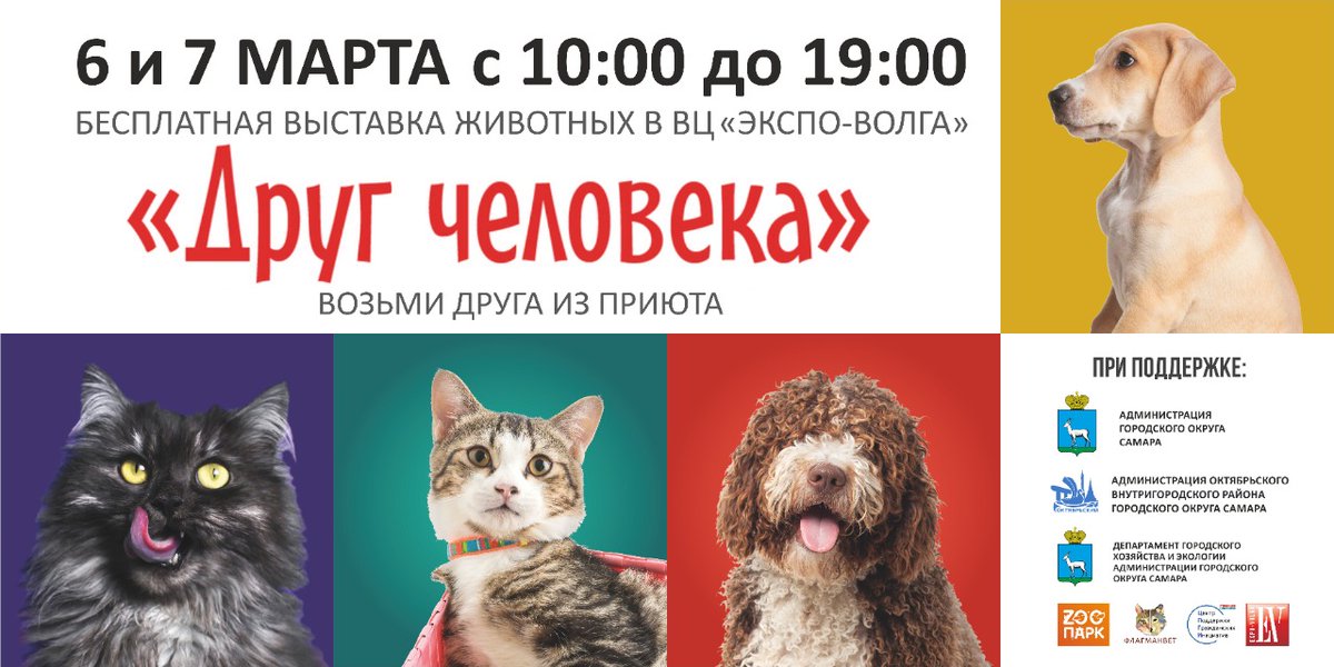 6 и 7 марта с 10.00 до 19.00 в ВЦ «Экспо-Волга» состоится бесплатная выставка животных «Друг человека».
 
Уже в эти выходные порядка 200 кошек и собак из приютов Самары будут ждать своего хозяина. Забрать понравившееся животное можно совершенно бесплатно прямо с выставки.