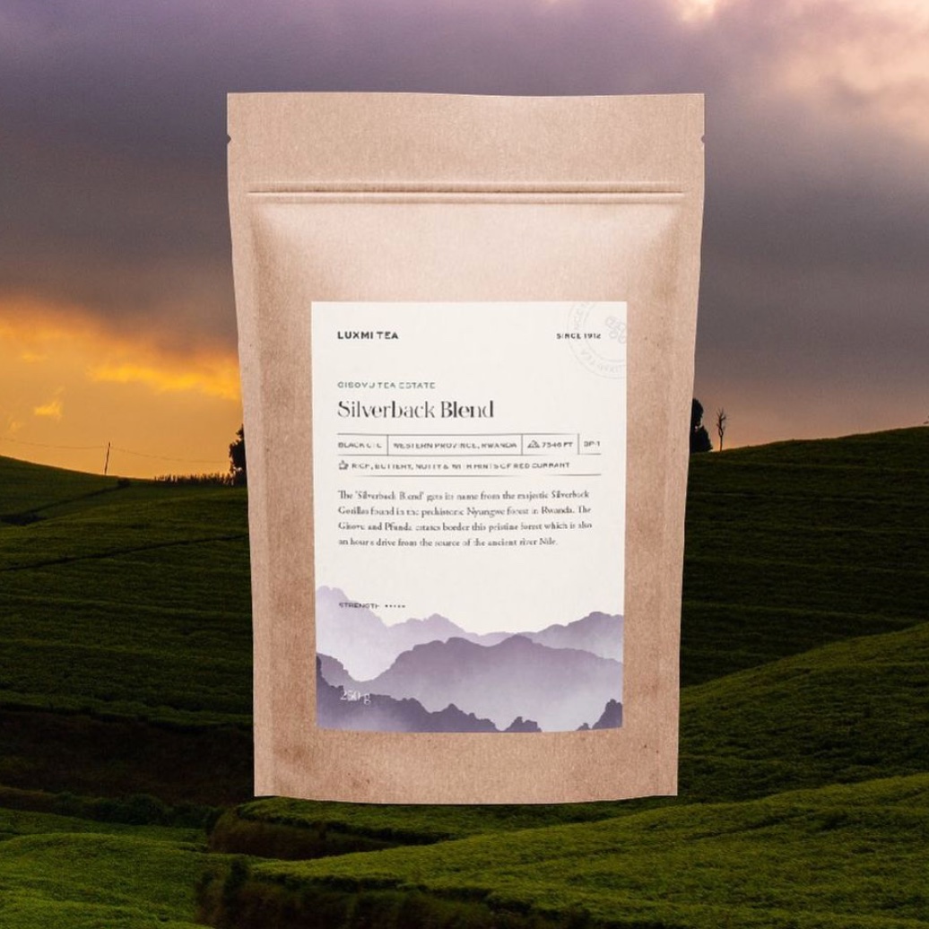 SilverbackTea's tweet photo. Silverback Blend - this golden buttery brew is the long lasting taste of Rwandan Highlands and some of the finest tea in Africa.
#silverbacktea #africantea #rwanda #gisovu #cooperativefarming #tea #silverbackblend #pfunda #ctctea #africantea https://t.co/jKtPUJJTFk