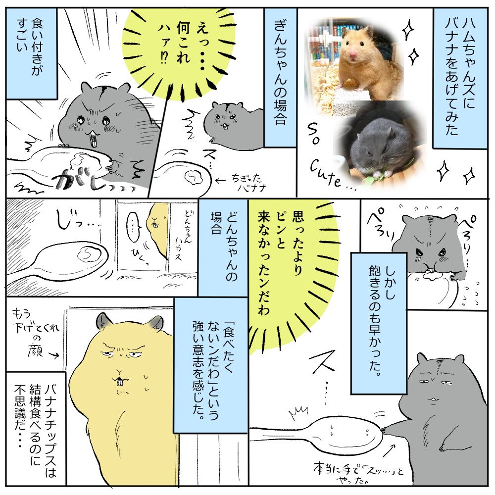 本物のバナナはお気に召さなかったようだ… 