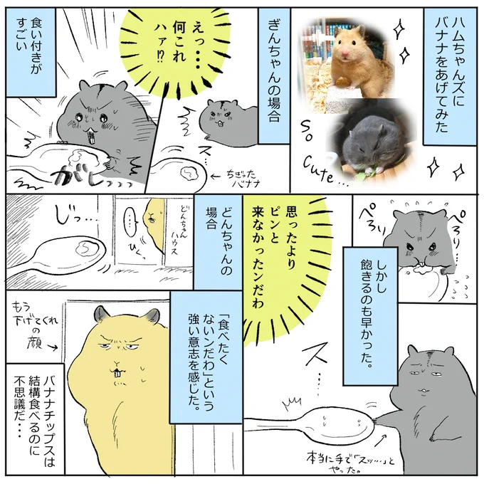本物のバナナはお気に召さなかったようだ… 