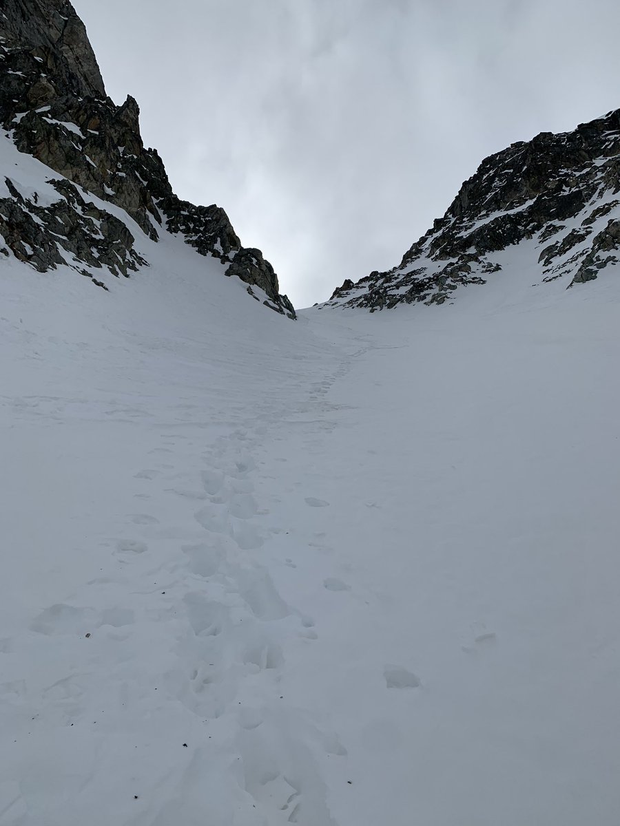 natalita_pt's tweet photo. Life is better at altitude ๐ฅฐ๐๐ป those who track uphill get rewarded on the downhill hop hop #T1D #keto #fat4fuel #skimo https://t.co/s9ClGF4XRM