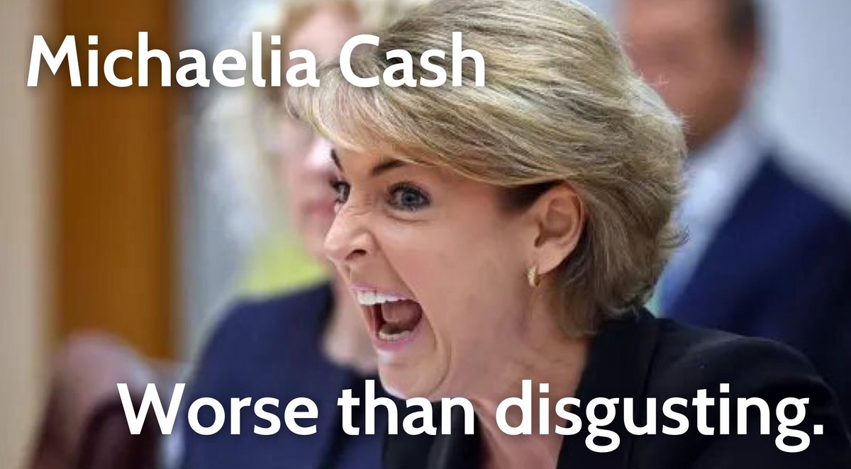 MochaNSlice's tweet photo. @Qldaah Acting attorney-general; screeching harpie... #samesame #everythingtheLNPdoesiswrong & clearly corrupt #auspol @SenatorCash #NotHonourable #WorseThanDisgusting https://t.co/vnLhfVgTZs
