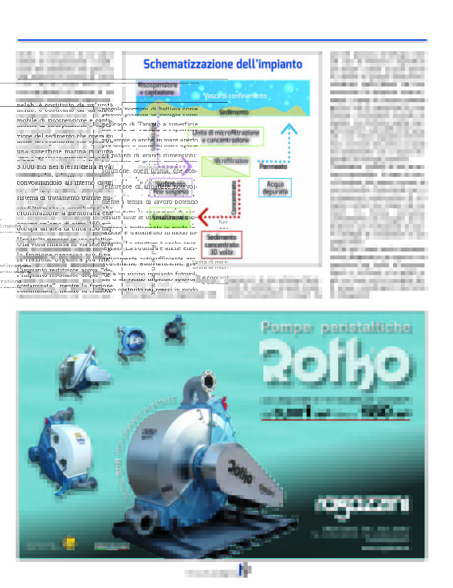 Life4MarPiccolo tweet media