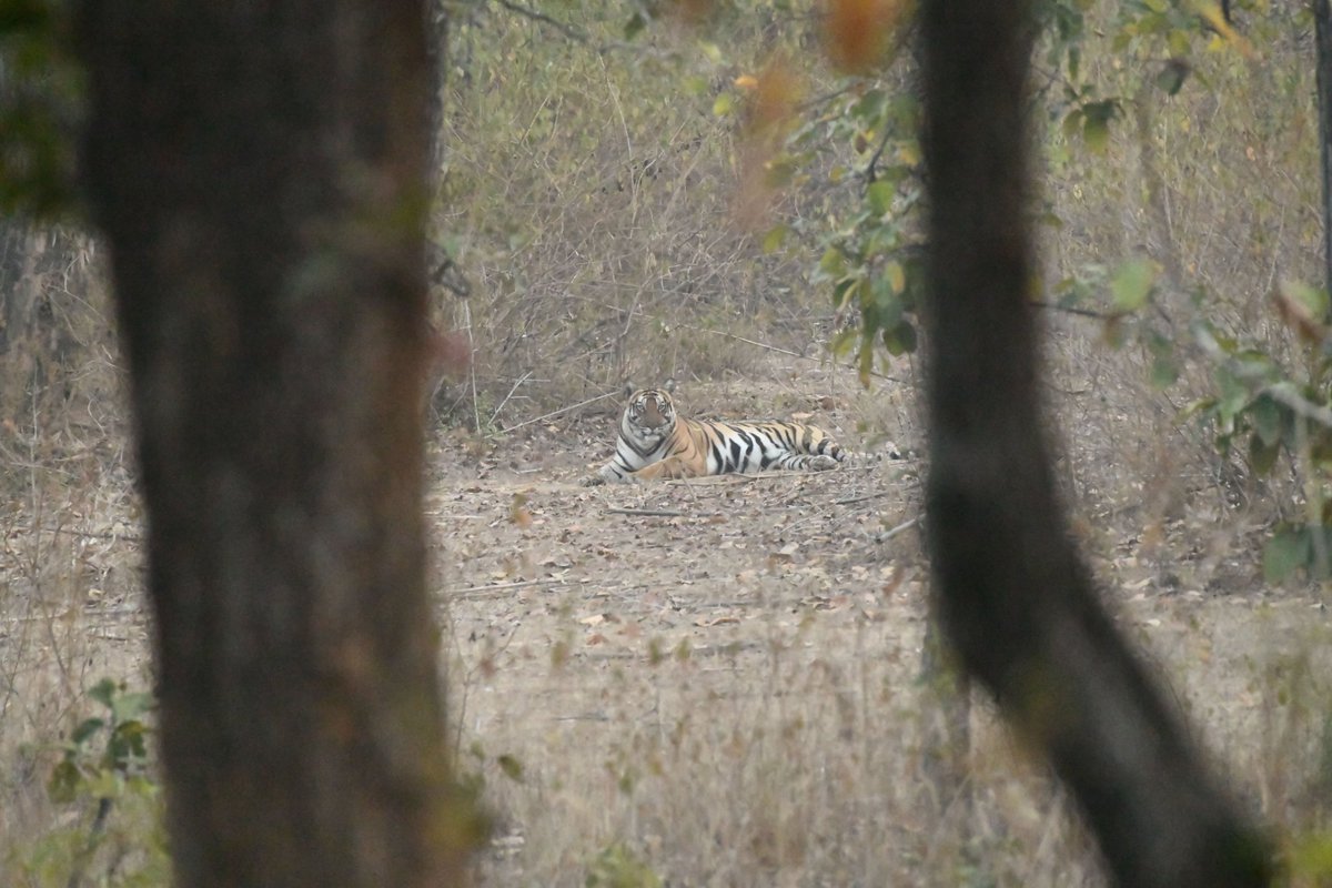 Premal Kotecha tweet media