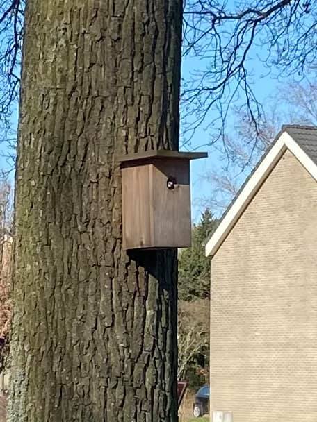 Onze Buitenruimte tweet media