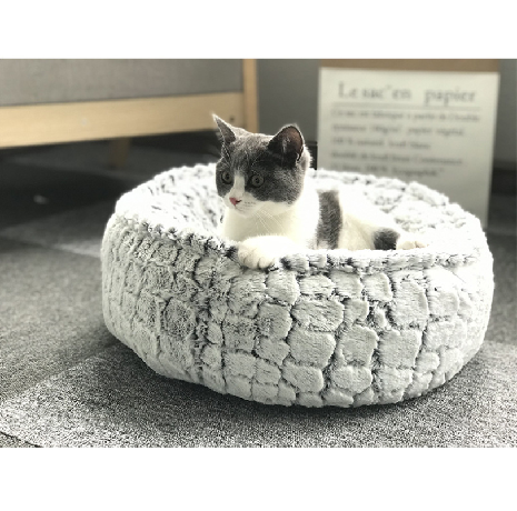 BallaGladstone's tweet photo. Cat house dog house round soft sleep cat bed dog mat pet rest
#confidence #cute #pet #cutepet #funny https://t.co/3qcMmESgU9
