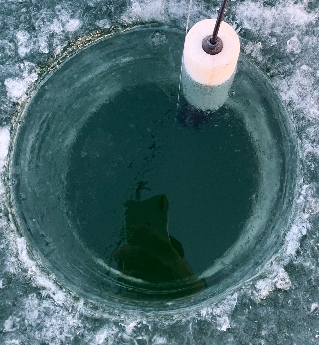 prairieguy2016's tweet photo. I sat on 12β of ice. 80 ft of water below. Across the lake I hear a low rumbling. It gets louder & louder. It is deafening when it reaches me. My UTV begins to sway. I begin to sway. Water shoots out my hole like a mini geyser. #icequake #gettingspooked #icefishing #montana π³ https://t.co/65Fv4LT05A