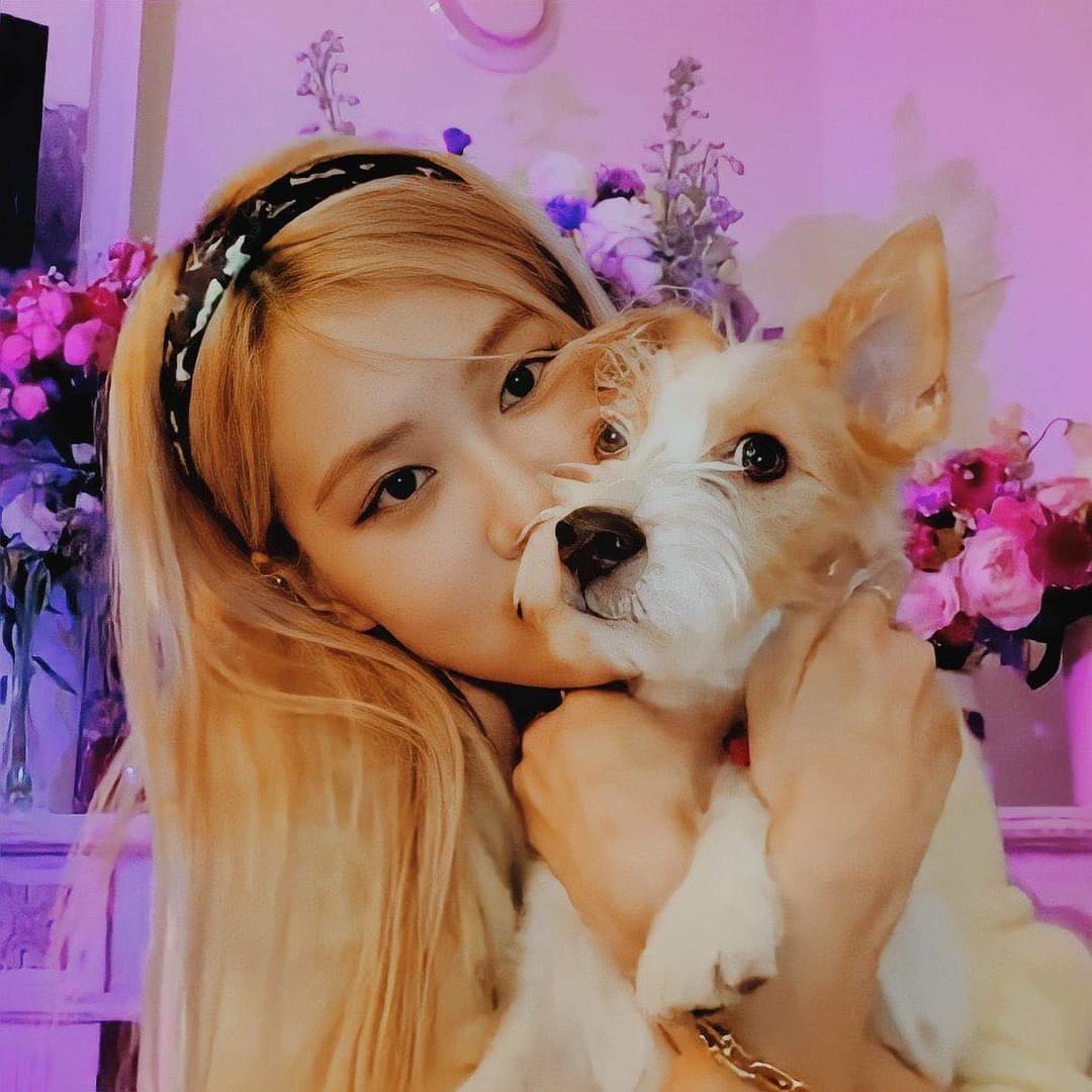 oanL19's tweet photo. Solo day is so closely coming, Damn!!! 😡😡😡

Rosie are waiting for very very long time to bring a most wonderful moment for us. Blink &amp; Fansé aren't allowed anyone or anything  messing &amp; harming her!!!

LET OUR ROSÉ ALONE  

#YGEHearROSÉFans  @ygent_official 
#ROSÉ @BLACKPINK https://t.co/ZBqLRvobM7