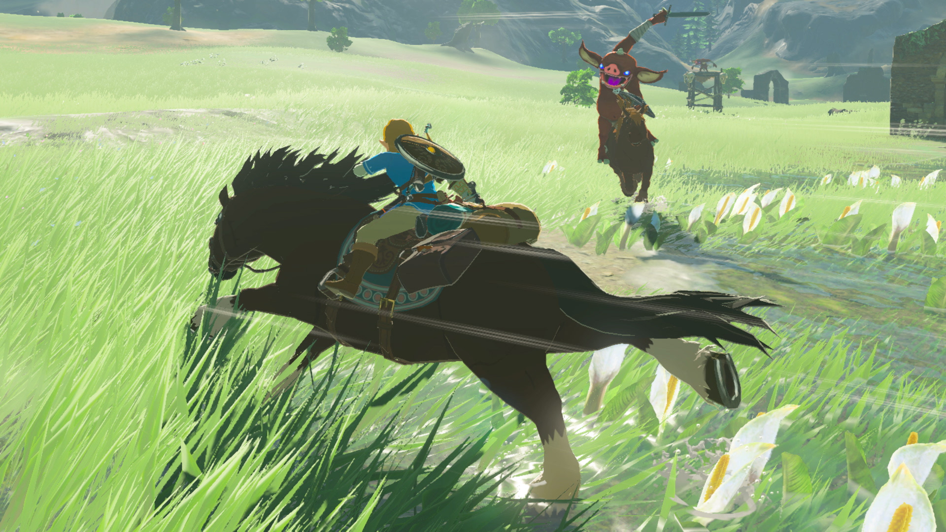 Legend of Zelda: Breath of the Wild will be the last Nintendo game for Wii U  - Polygon