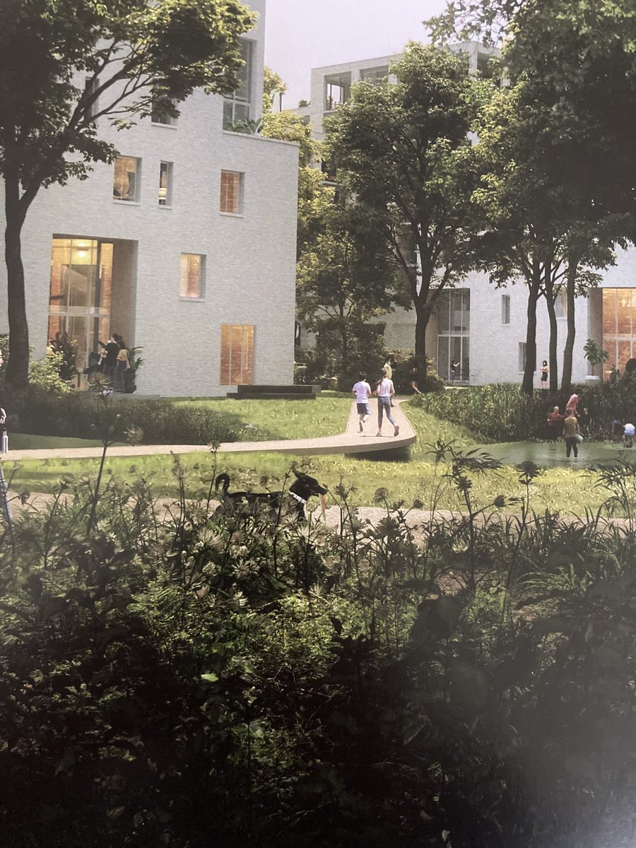 Holt - de oude Alolocatie bij het MZH - wordt een spectaculair groene woonwijk met voor elke portemonnee een plek. Een cadeautje voor de Stad! #Groningen