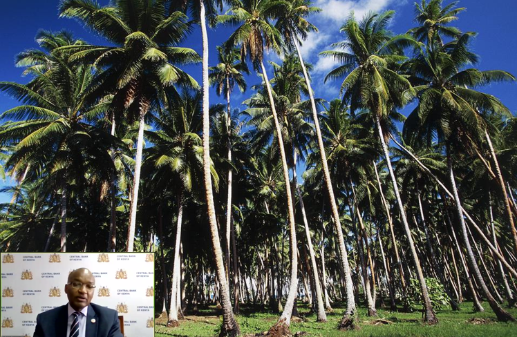 tamarabcook's tweet photo. "Society is at its best when we plant coconut trees that we know we will not eat from. #ClimateAction is about planting coconuts." @njorogep @CBKKenya Financial sector players should raise ambition to get good green projects the finance they need." #KenyaClimateAction #RaceToZero https://t.co/Kc2oFN1UIP