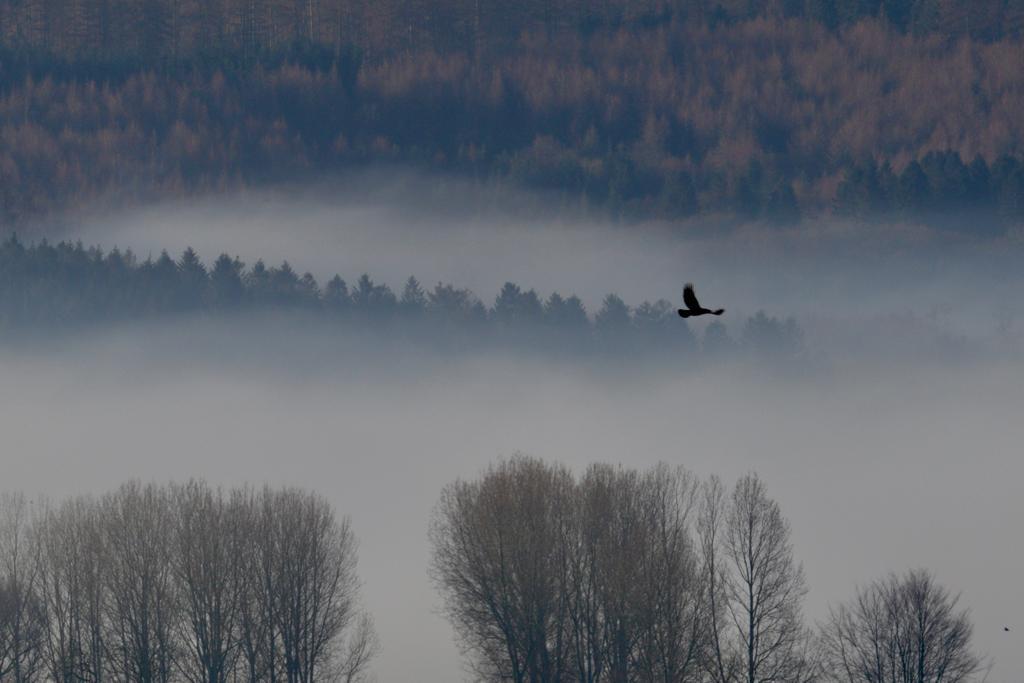 AmpleforthColl's tweet photo. Another misty morning here in the Valley - counting down the days until it is filled with our students once again #eAmpleforth #distancedbutnotapart https://t.co/cyZEv6RfuZ