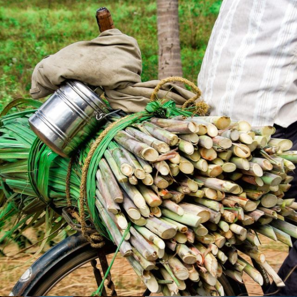 We recently completed the 1st domestic trade between 2 VIVE participants in #Thailand. We're proud to have positively influenced Thai businesses supporting local farmers, communities &amp; the Thai economy. 💡
Visit: ow.ly/KBq750DOOCG
#sustainablebusiness