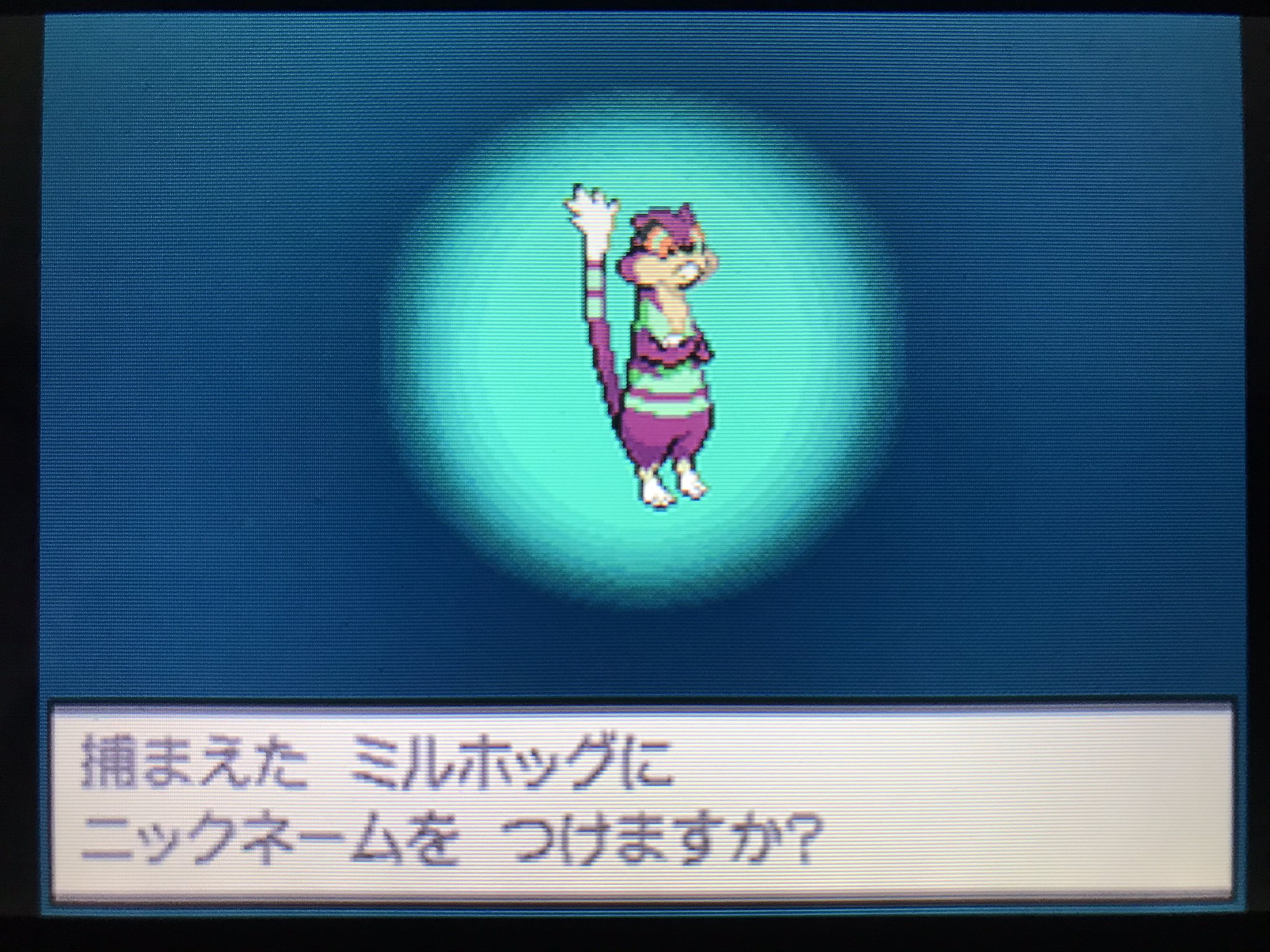 蒟蒻問答 ダークボール一度試せば良かったかな クイボダサイ派 ミルホッグの色違いって交通整理のおっちゃん感すごい Twitter