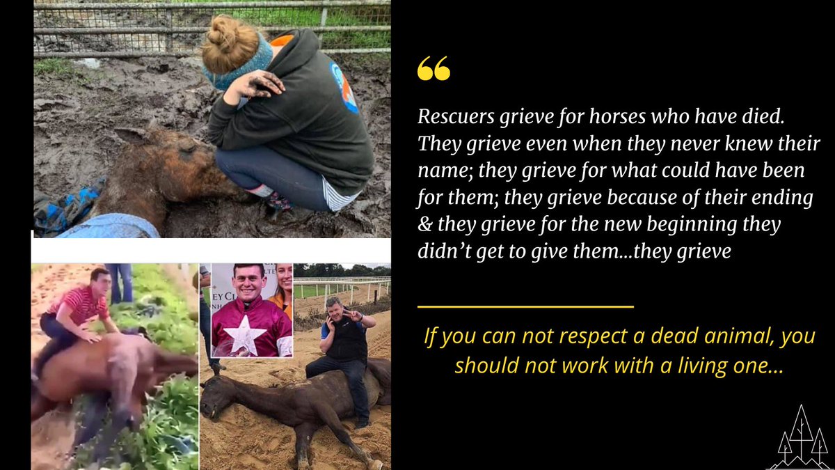 some of the narrative emerging abt  #GordonElliott is concerning:the idea of just one moment of madness.But was it one moment caught on camera?What abt off camera?Is this reflective of values?But it’s not abt ‘eye for an eye’:it’s about him authentically reflecting & remorse