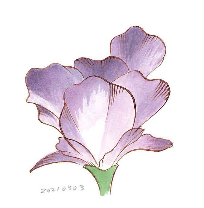 れんげのtwitterイラスト検索結果