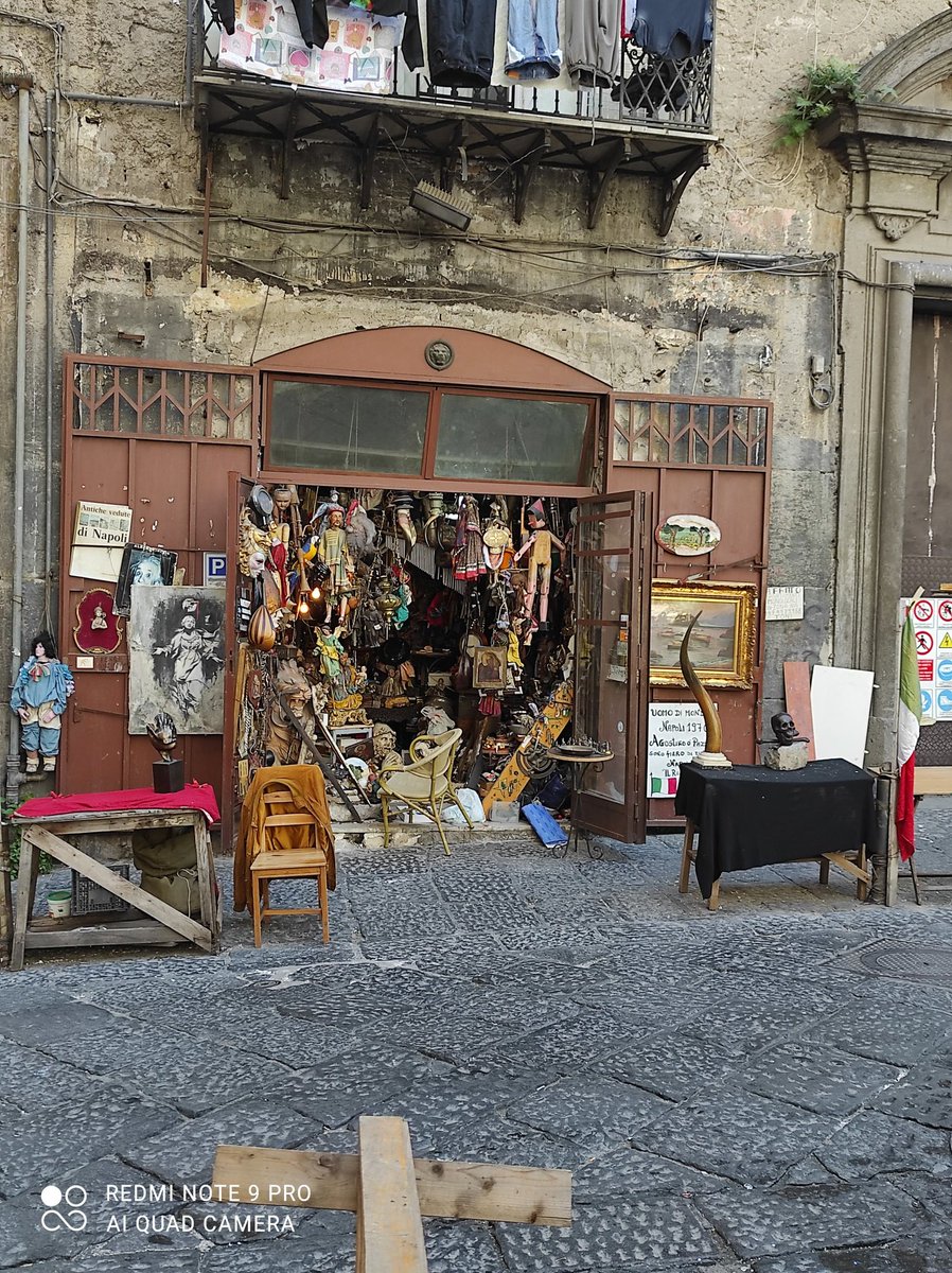 Daniela Vellutino tweet media