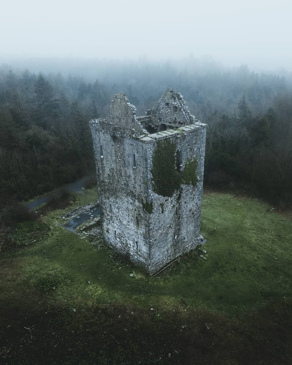 visit_galway's tweet photo. Misty mornings at Merlin Castle... What a beautiful atmospheric shot by Martin Moll! 🏰🌲😍 #TheMist #Atmospheric #Wow #AerialPhoto #MerlinCastle #MerlinWoods #AmazingPlaces #Galway #Ireland #VisitGalway

📸 https://t.co/oxrObL3TUT https://t.co/X3w94rBico