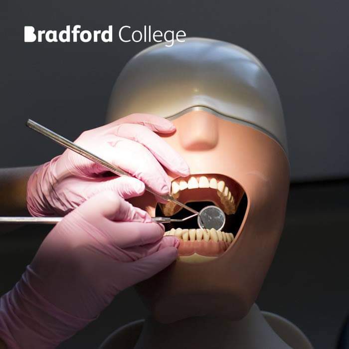 NORDEC Dental ATC tweet media