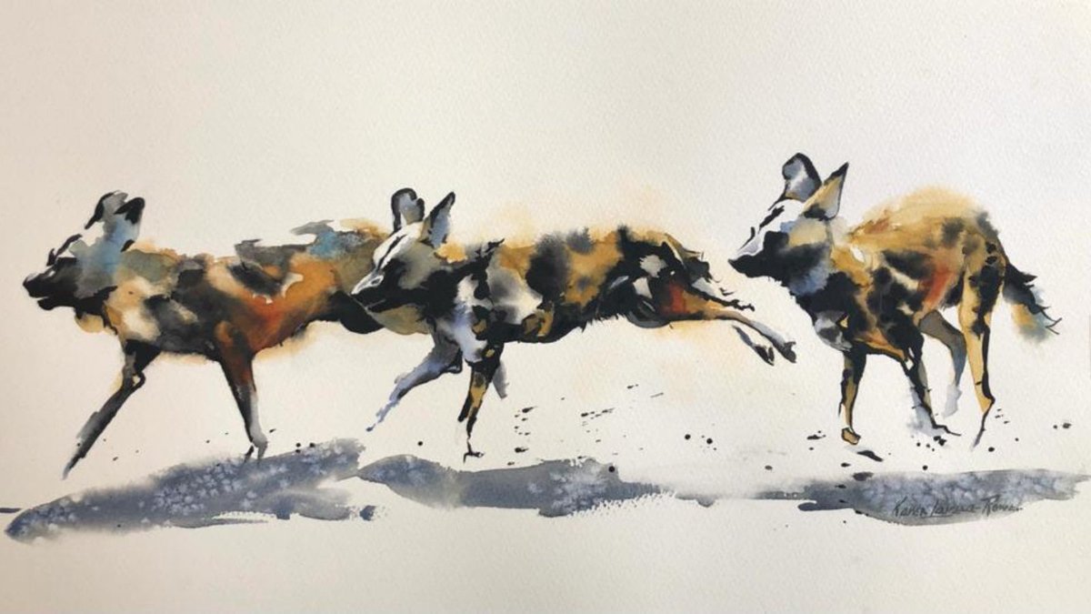 RemembrWildlife's tweet photo. STUNNING ARTWORK BY KAREN LAURENCE-ROWE. Award-winning artist &amp; friend @mamachui2 has again donated 3 pieces of artwork to our Kickstarter. Original watercolours 'The Chase' (below) &amp; 'Distant Lands' &amp; limited edition print! Pledge from Friday here: https://t.co/d3UDXh2Kb1 https://t.co/SqfDjmLpWu