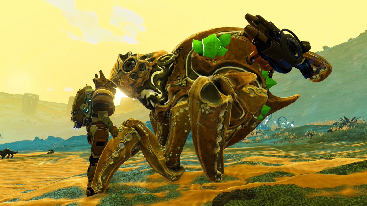 KashKaroon's tweet photo. Companions #NoMansSky #NoMansSkyORIGINS #NoMansSkyCompanions #QitanianEmpire #VirtualPotography #VGPUnite #TheCapturedCollective @WorldofVP @cariscaptures @hellogames @NoMansSky https://t.co/LFfW9Fn3PN