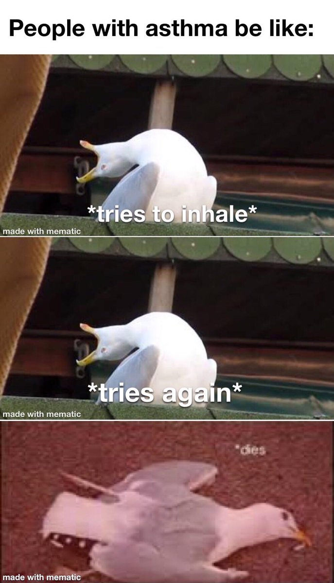 myunclesmemes's tweet photo. Ahh I remember that pain https://t.co/RWauk7lGvG