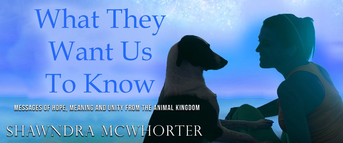 GoddessFish's tweet photo. Read powerful words that wild and domestic animals have shared with humans to help us on our paths. #AnimalCommunication #Healing #Expansion #TalkWithAnimals https://t.co/2QRfdxLpkr @SanskritHealing https://t.co/Gc5XkvYG4A