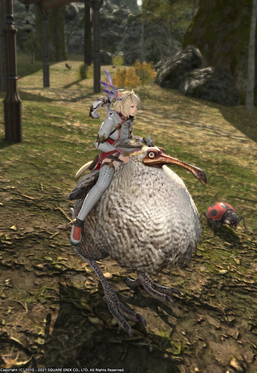 ふにょり Ff14 一昨日行ったアメノミハシラの埋もれた財宝で噂のドードーホルンのお持ち帰りに成功したのですが 女の子でこれは色々際どいのと ミコッテもなんかドードーには大きくない となっている ララフェルなら丁度よさそう 高身長種族だと