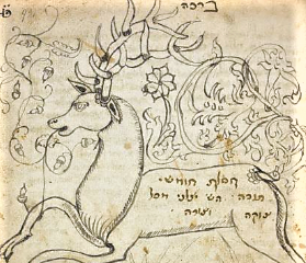 BL_HebrewMSS's tweet photo. For Wildlife Wednesday at the British Library enjoy this splendid image depicting a running deer. Note its absolutely magnificent antlers! #HebrewProject #LetsGetDigital #BLFromHome
https://t.co/r6EweI6kjS https://t.co/OEuaMQVSml