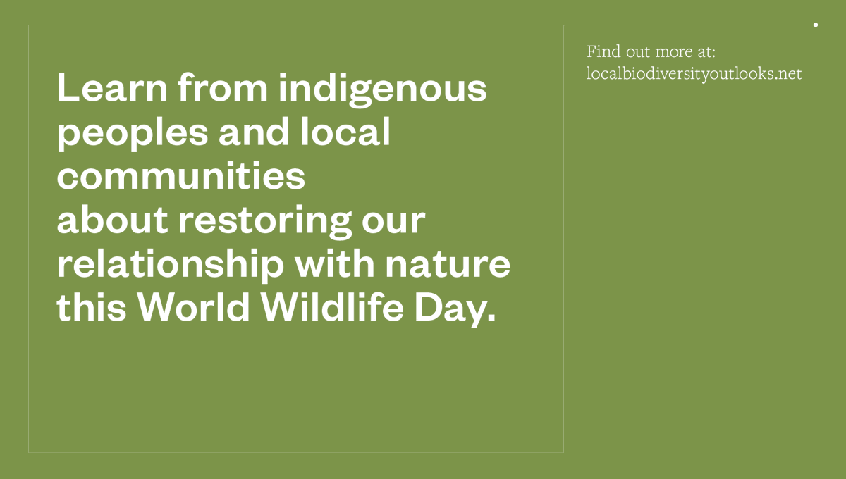 ForestPeoplesP's tweet photo. The lands of indigenous peoples and local communities contain much of the world’s remaining biodiversity.

Read about their key role in protecting nature ➡️ https://t.co/aartsVVRKh

#ForestsPeoplePlanet #WWD2021 #LBO2 #ForNature https://t.co/eBiCgIVzDH