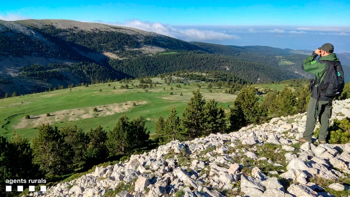 agentsruralscat's tweet photo. 🌳🌲 Avui és el #DiaMundialDeLaVidaSilvestre que aquest 2021 es centra en la importància de protegir els boscos.

🦅 Nosaltres, cada dia, treballem per preservar la biodiversitat i protegir el medi ambient!

#WWD2021  #WorldWildlifeDay #DiaDeLaNatura https://t.co/5FeEv2bczj