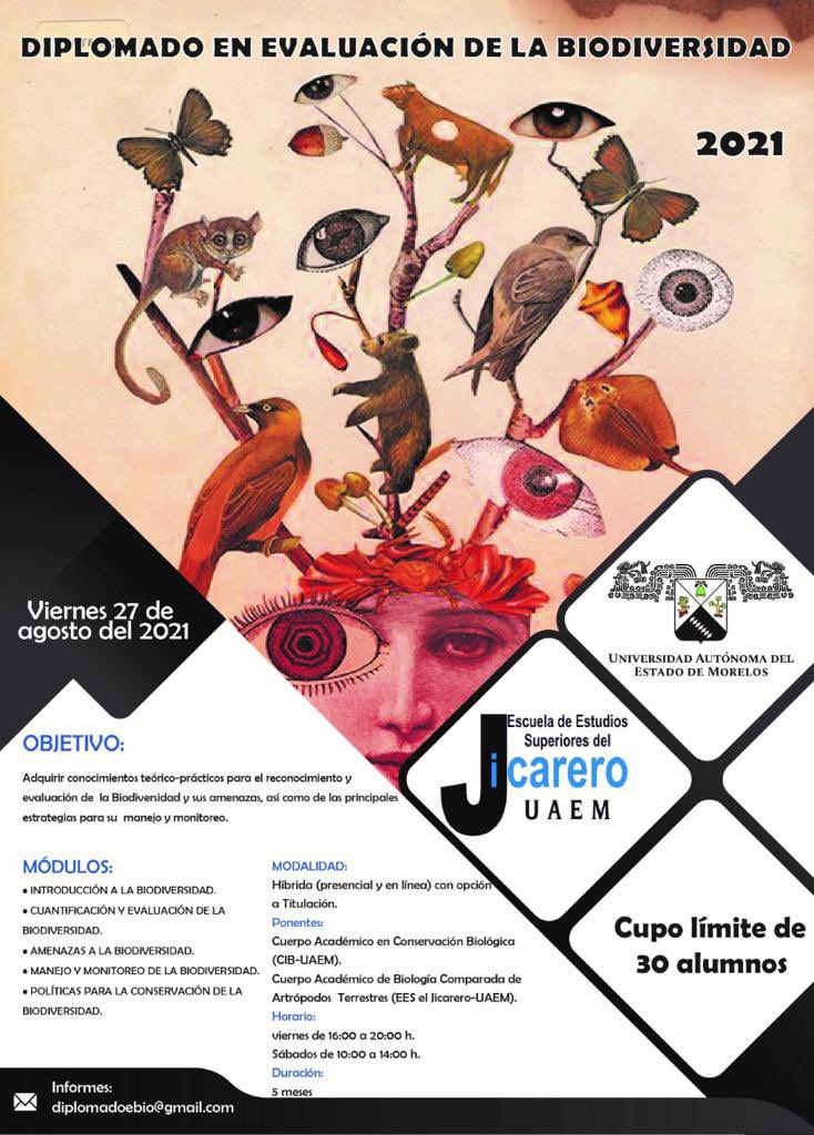 eesjicarero's tweet photo. Si están interesados en la evaluación de Biodiversidad no duden en tomar este diplomado para actualización y con modalidad de titulación !@uaem @UniondeMorelos @regionalmorelos @SolDeCuernavaca @ibunamcnpe @Naturalia_AC @ADNInforma https://t.co/sNFOFbDzue